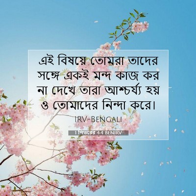 Picture 07 - 1 পিতরের 4:4 BENIRV - এই বিষয়ে তোমরা - Bible Verse Picture