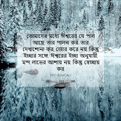 Picture 07 - 1 পিতরের 5:2 BENIRV - তোমাদের মধ্যে - Bible Verse Picture
