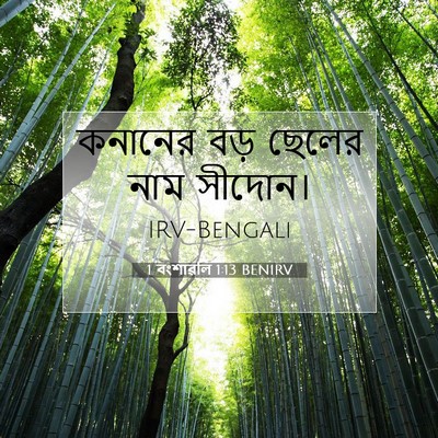 Picture 07 - 1 বংশাৱলি 1:13 BENIRV - কনানের বড় ছেলের - Bible Verse Picture