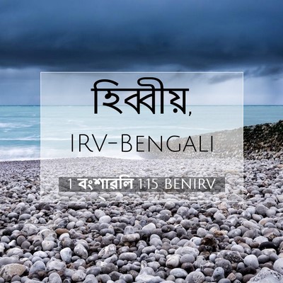 Picture 07 - 1 বংশাৱলি 1:15 BENIRV -  - Bible Verse Picture