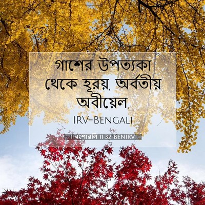 Picture 07 - 1 বংশাৱলি 11:32 BENIRV - গাশের উপত্যকা - Bible Verse Picture