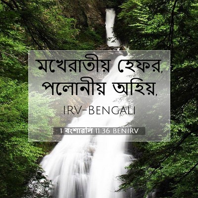 Picture 07 - 1 বংশাৱলি 11:36 BENIRV - মখেরাতীয় হেফর, - Bible Verse Picture