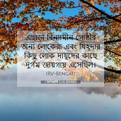 Picture 07 - 1 বংশাৱলি 12:16 BENIRV - এছাড়া বিন্যামীন - Bible Verse Picture