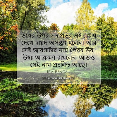 Picture 07 - 1 বংশাৱলি 13:11 BENIRV - উষের উপর - Bible Verse Picture