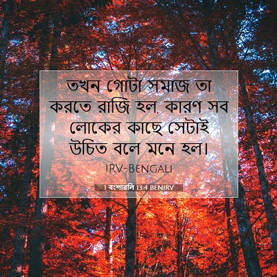Picture 07 - 1 বংশাৱলি 13:4 BENIRV - তখন গোটা সমাজ তা - Bible Verse Picture