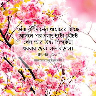 Picture 07 - 1 বংশাৱলি 13:9 BENIRV - তাঁরা কীদোনের - Bible Verse Picture