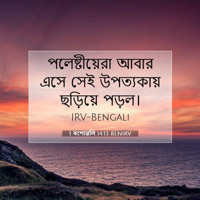 Picture 07 - 1 বংশাৱলি 14:13 BENIRV - পলেষ্টীয়েরা আবার - Bible Verse Picture