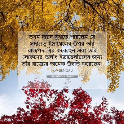 Picture 07 - 1 বংশাৱলি 14:2 BENIRV - তখন দায়ূদ বুঝতে - Bible Verse Picture