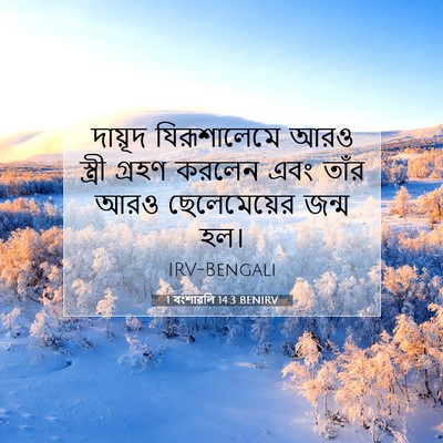 Picture 07 - 1 বংশাৱলি 14:3 BENIRV - দায়ূদ যিরূশালেমে - Bible Verse Picture