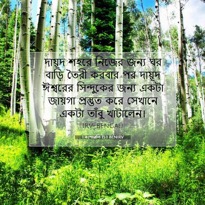 Picture 07 - 1 বংশাৱলি 15:1 BENIRV - দায়ূদ শহরে নিজের - Bible Verse Picture