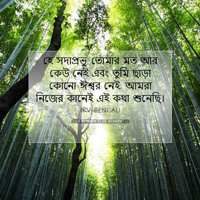 Picture 07 - 1 বংশাৱলি 17:20 BENIRV - হে সদাপ্রভু, তোমার - Bible Verse Picture