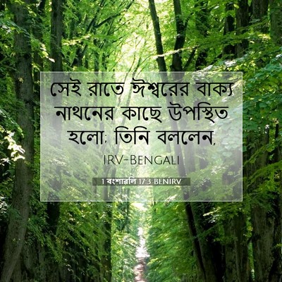 Picture 07 - 1 বংশাৱলি 17:3 BENIRV - সেই রাতে ঈশ্বরের - Bible Verse Picture