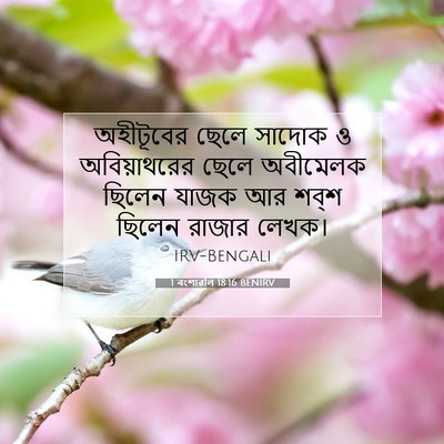Picture 07 - 1 বংশাৱলি 18:16 BENIRV - অহীটূবের ছেলে - Bible Verse Picture