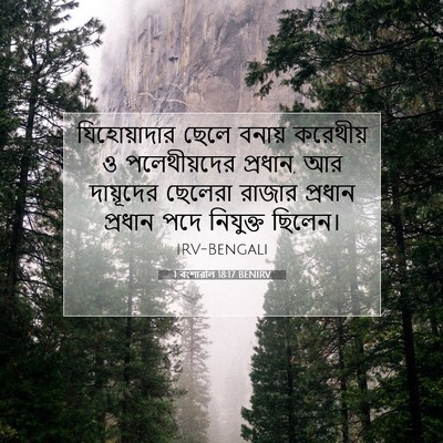 Picture 07 - 1 বংশাৱলি 18:17 BENIRV - যিহোয়াদার ছেলে - Bible Verse Picture