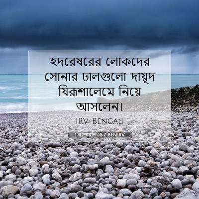 Picture 07 - 1 বংশাৱলি 18:7 BENIRV - হদরেষরের লোকদের - Bible Verse Picture