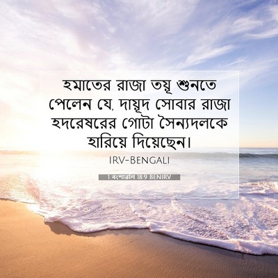 Picture 07 - 1 বংশাৱলি 18:9 BENIRV - হমাতের রাজা তয়ূ - Bible Verse Picture