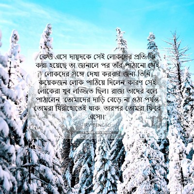 Picture 07 - 1 বংশাৱলি 19:5 BENIRV - কেউ এসে দায়ূদকে - Bible Verse Picture
