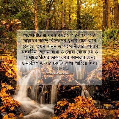Picture 07 - 1 বংশাৱলি 19:6 BENIRV - অম্মোনীয়েরা যখন - Bible Verse Picture