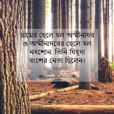 Picture 07 - 1 বংশাৱলি 2:10 BENIRV - রামের ছেলে হল - Bible Verse Picture