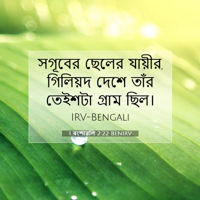 Picture 07 - 1 বংশাৱলি 2:22 BENIRV - সগূবের ছেলের - Bible Verse Picture