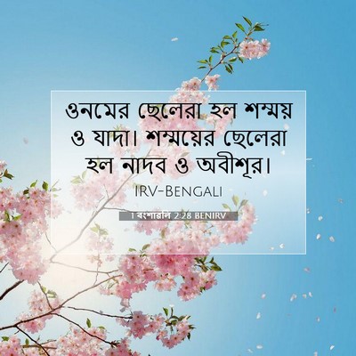 Picture 07 - 1 বংশাৱলি 2:28 BENIRV - ওনমের ছেলেরা হল - Bible Verse Picture
