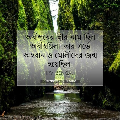 Picture 07 - 1 বংশাৱলি 2:29 BENIRV - অবীশূরের স্ত্রীর - Bible Verse Picture