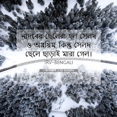 Picture 07 - 1 বংশাৱলি 2:30 BENIRV - নাদবের ছেলেরা হল - Bible Verse Picture