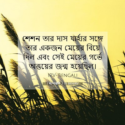 Picture 07 - 1 বংশাৱলি 2:35 BENIRV - শেশন তার দাস - Bible Verse Picture