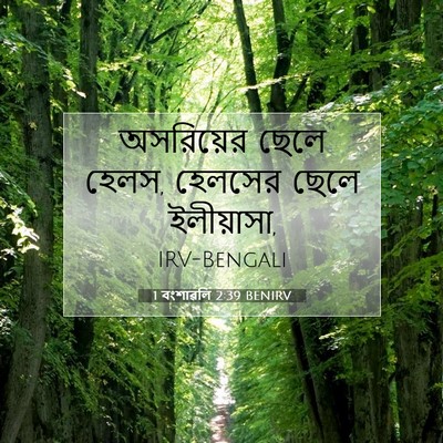 Picture 07 - 1 বংশাৱলি 2:39 BENIRV - অসরিয়ের ছেলে - Bible Verse Picture
