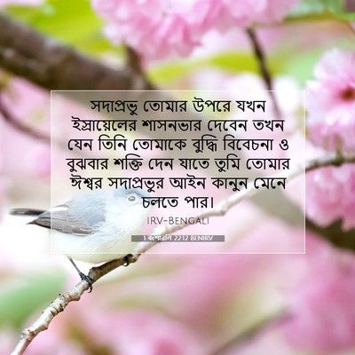 Picture 07 - 1 বংশাৱলি 22:12 BENIRV - সদাপ্রভু তোমার - Bible Verse Picture