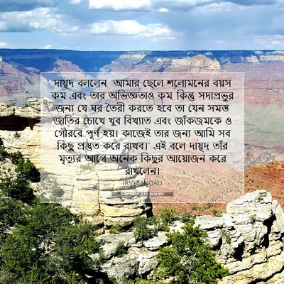 Picture 07 - 1 বংশাৱলি 22:5 BENIRV - দায়ূদ বললেন, - Bible Verse Picture