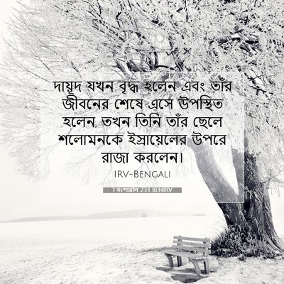 Picture 07 - 1 বংশাৱলি 23:1 BENIRV - দায়ূদ যখন বৃদ্ধ - Bible Verse Picture