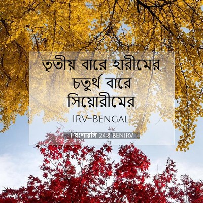 Picture 07 - 1 বংশাৱলি 24:8 BENIRV - তৃতীয় বারে - Bible Verse Picture