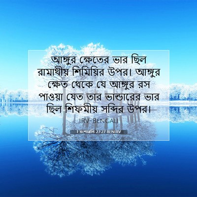 Picture 07 - 1 বংশাৱলি 27:27 BENIRV - আঙ্গুর ক্ষেতের - Bible Verse Picture