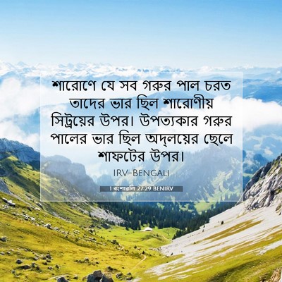 Picture 07 - 1 বংশাৱলি 27:29 BENIRV - শারোণে যে সব গরুর - Bible Verse Picture