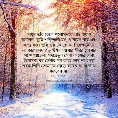 Picture 07 - 1 বংশাৱলি 28:20 BENIRV - দায়ূদ তাঁর ছেলে - Bible Verse Picture