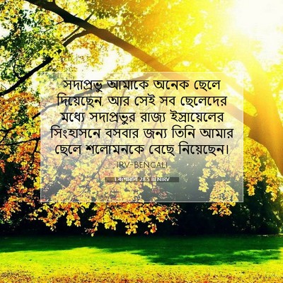 Picture 07 - 1 বংশাৱলি 28:5 BENIRV - সদাপ্রভু আমাকে - Bible Verse Picture