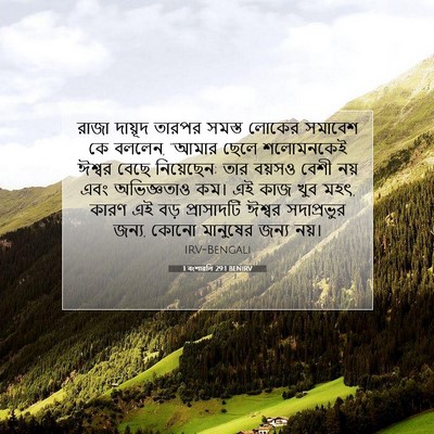Picture 07 - 1 বংশাৱলি 29:1 BENIRV - রাজা দায়ূদ তারপর - Bible Verse Picture