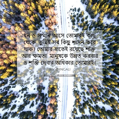 Picture 07 - 1 বংশাৱলি 29:12 BENIRV - ধন ও সম্মান আসে - Bible Verse Picture