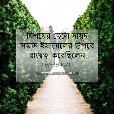 Picture 07 - 1 বংশাৱলি 29:26 BENIRV - যিশয়ের ছেলে - Bible Verse Picture