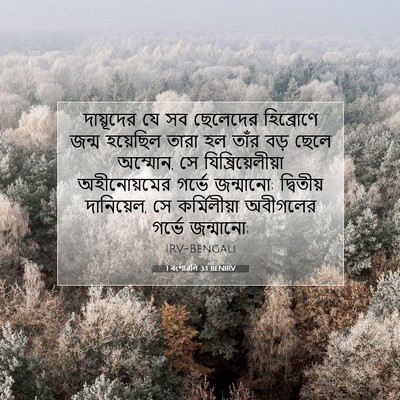 Picture 07 - 1 বংশাৱলি 3:1 BENIRV - দায়ূদের যে সব - Bible Verse Picture