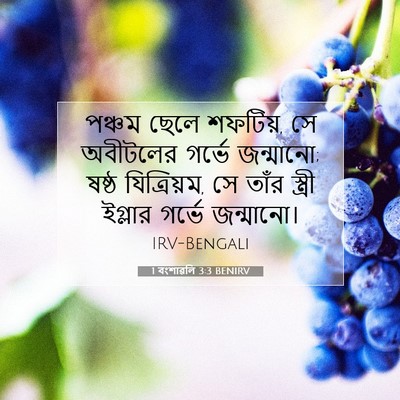 Picture 07 - 1 বংশাৱলি 3:3 BENIRV - পঞ্চম ছেলে শফটিয়, - Bible Verse Picture