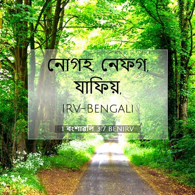 Picture 07 - 1 বংশাৱলি 3:7 BENIRV - নোগহ, নেফগ, - Bible Verse Picture