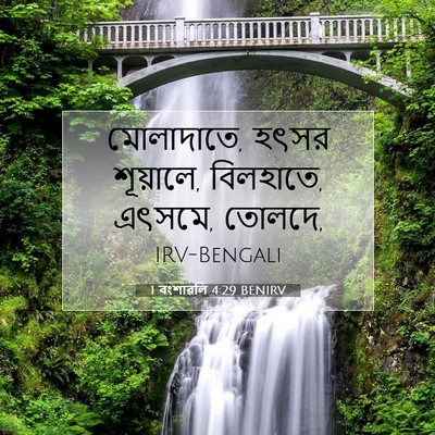 Picture 07 - 1 বংশাৱলি 4:29 BENIRV - মোলাদাতে, হৎসর - Bible Verse Picture