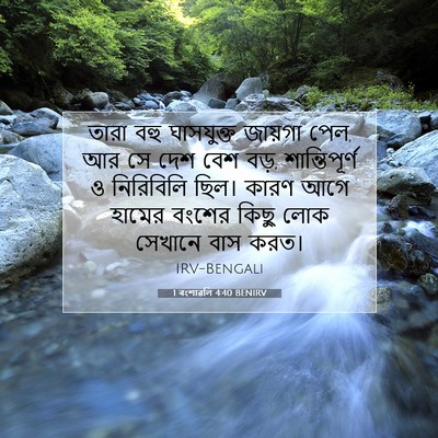 Picture 07 - 1 বংশাৱলি 4:40 BENIRV - তারা বহু ঘাসযুক্ত - Bible Verse Picture