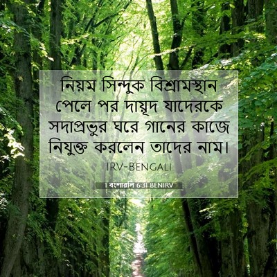 Picture 07 - 1 বংশাৱলি 6:31 BENIRV - নিয়ম সিন্দুক - Bible Verse Picture