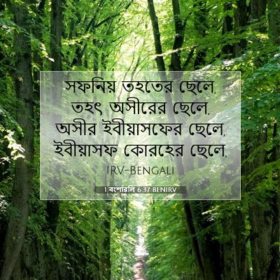 Picture 07 - 1 বংশাৱলি 6:37 BENIRV - সফনিয় তহতের ছেলে, - Bible Verse Picture