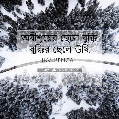 Picture 07 - 1 বংশাৱলি 6:5 BENIRV - অবীশূয়ের ছেলে - Bible Verse Picture