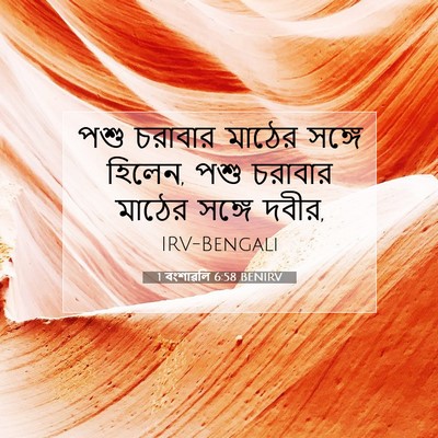 Picture 07 - 1 বংশাৱলি 6:58 BENIRV - পশু চরাবার মাঠের - Bible Verse Picture