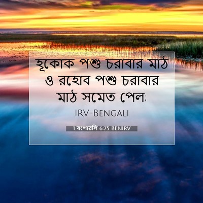 Picture 07 - 1 বংশাৱলি 6:75 BENIRV - হূকোক পশু চরাবার - Bible Verse Picture